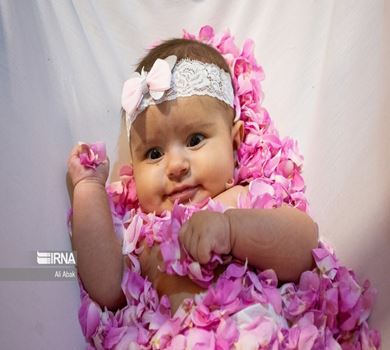 پیوند لطافت گل با معصومیت نوزاد در آیین گل‌غلتان