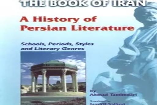«تاریخ ادبی فارسی»، سیاست‎زادیی از تاریخ ادب فارسی