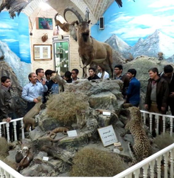 موزه علوم طبیعی یزد؛ آموختن علم با بازدید از موزه‌ای دیدنی