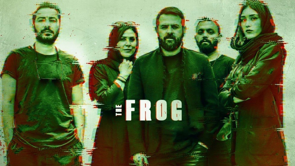  The Frog