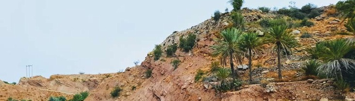 دره داماش و رودخانه کوچک و زلال آن