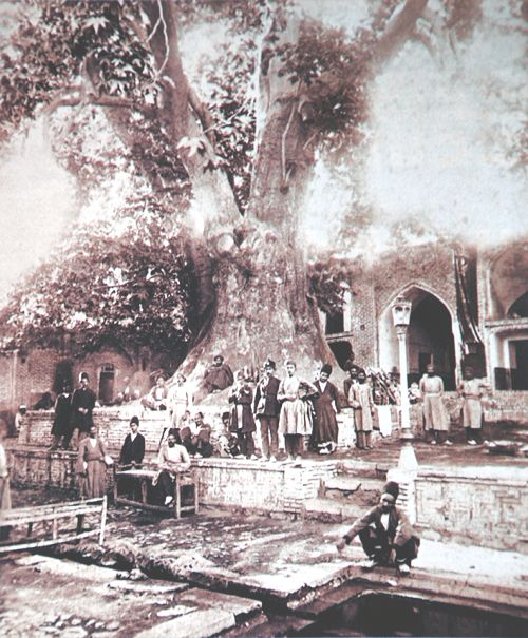 چنار کهنسال امامزاده صالح