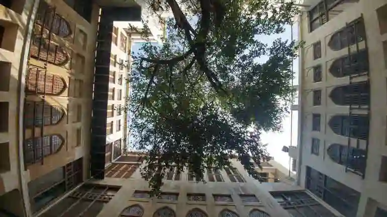 Google-Maps-عمارت-دهدشتی-بوشهر-5-copy